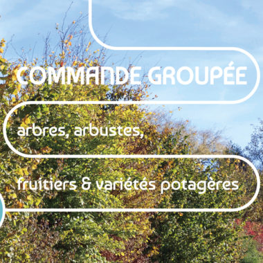 Opération  » Plantons le Décor » : édition 2023