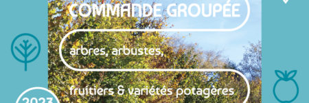 Opération  » Plantons le Décor » : édition 2023