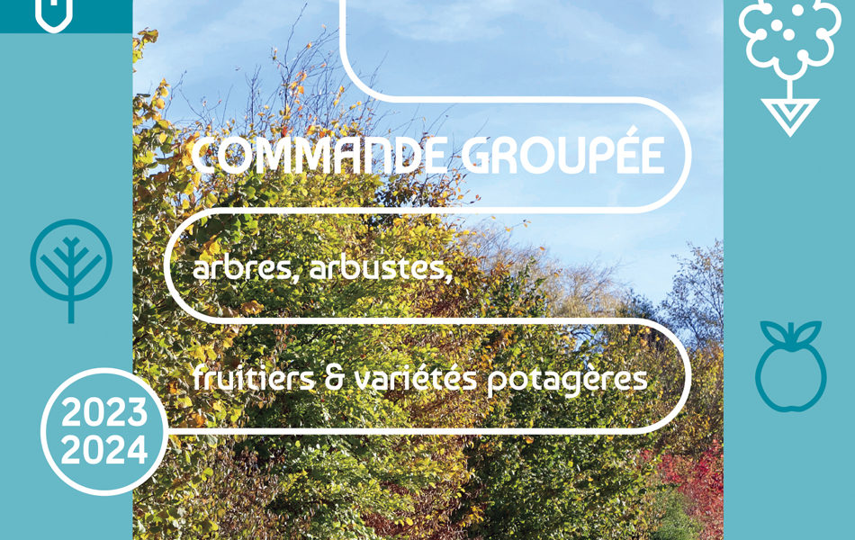 Opération  » Plantons le Décor » : édition 2023