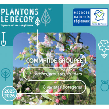 Opération « Plantons le Décor » : édition 2025