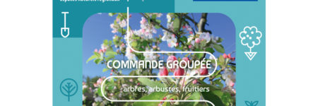 Opération « Plantons le Décor » : édition 2025